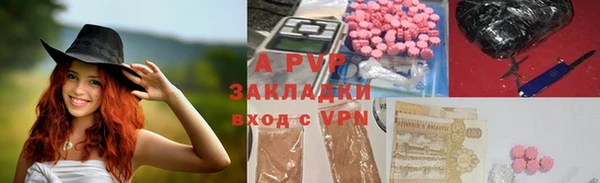 стафф Арсеньев