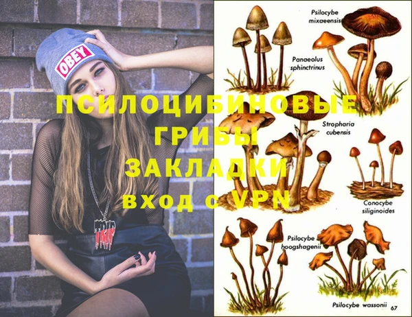 прущая мука Аркадак