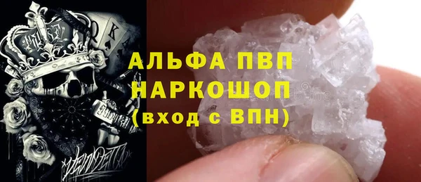 стафф Арсеньев