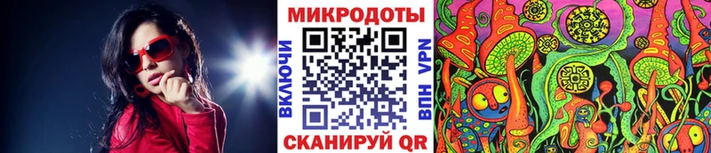 Псилоцибиновые грибы Psilocybine cubensis  как найти   Павловск 